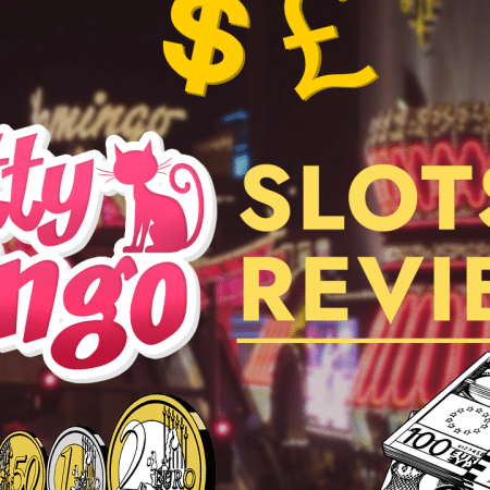Kitty Bingo Slots Review