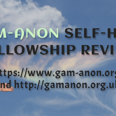 Gam-Anon Self-help Fellowship Review