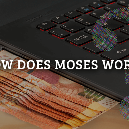 How Does MOSES Work?